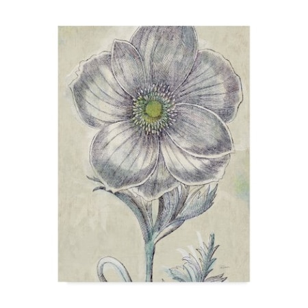 Sue Schlabach 'Belle Fleur Ii Crop' Canvas Art,35x47